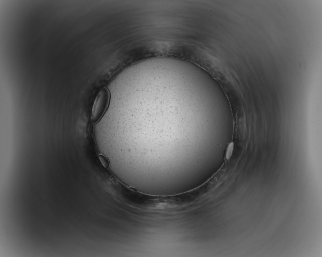 X0000096730750200802191548