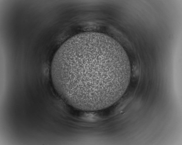 X0000096730753200802191548