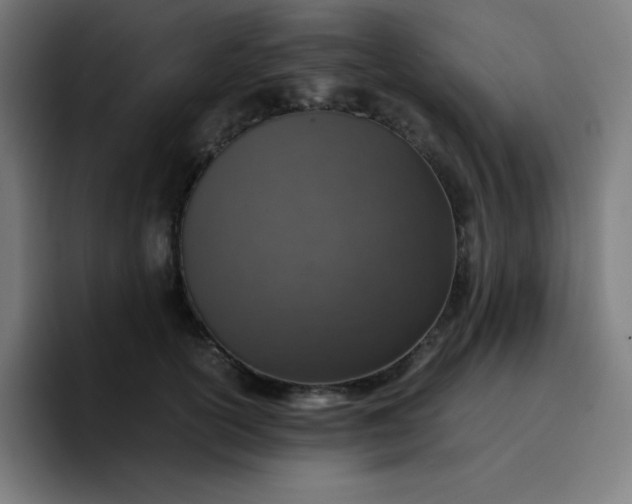 X0000096730754200802191548