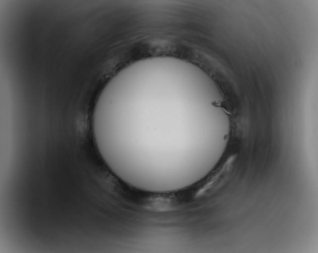 X0000096730756200802191548