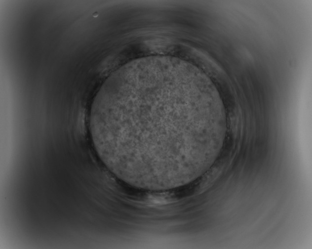 X0000096730757200802191548