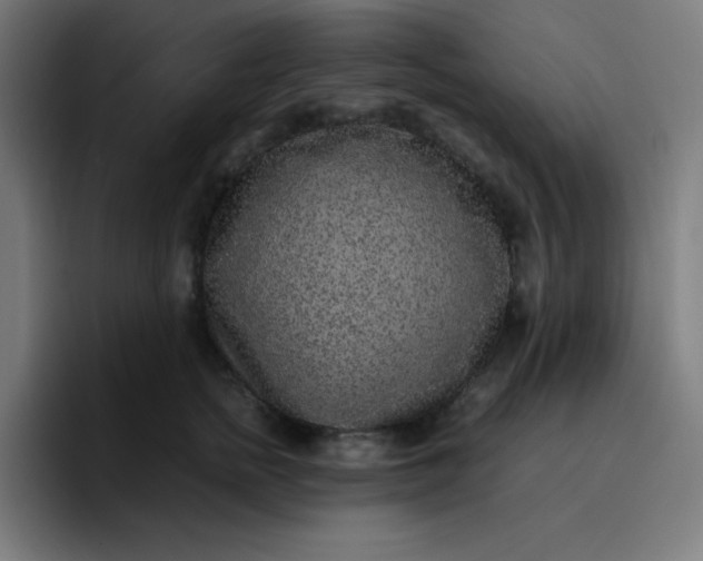 X0000096730758200802191548