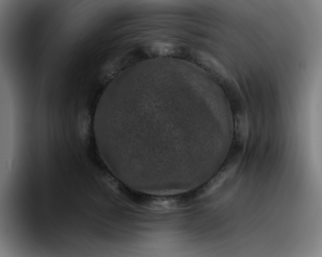 X0000096730760200802191548