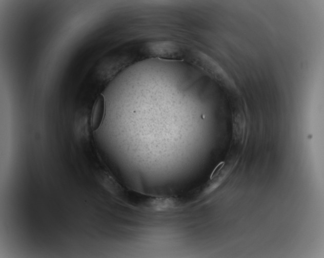 X0000096730762200802191548