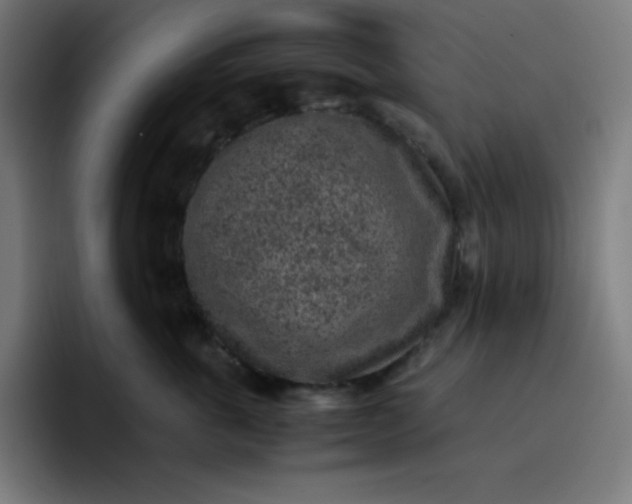 X0000096730763200802191548