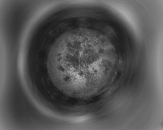 X0000096730765200802191548