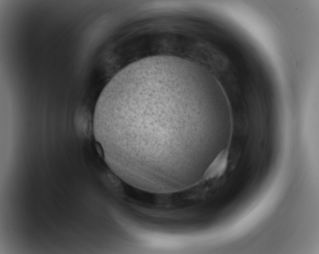 X0000096730766200802191548