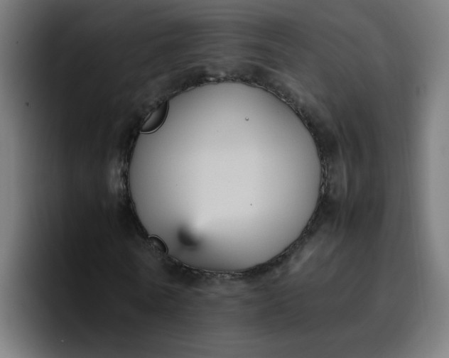 X0000096730770200802191548