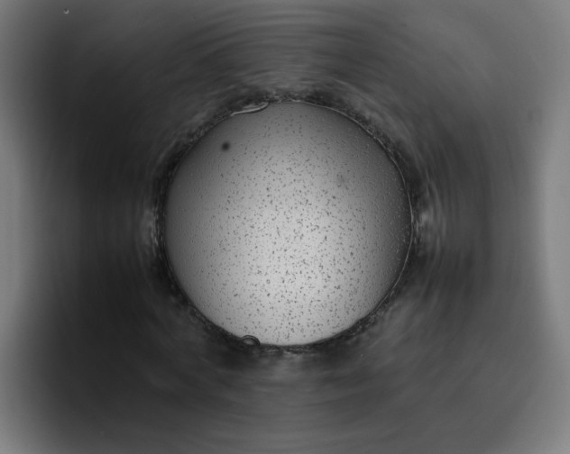 X0000096730772200802191547