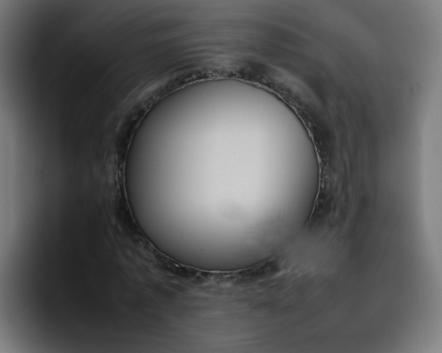 X0000096730773200802191547