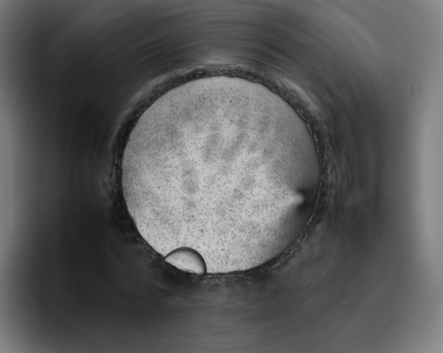 X0000096730776200802191547