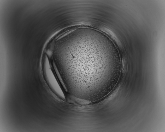 X0000096730780200802191547