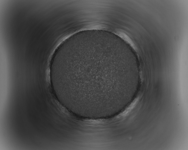 X0000096730781200802191547