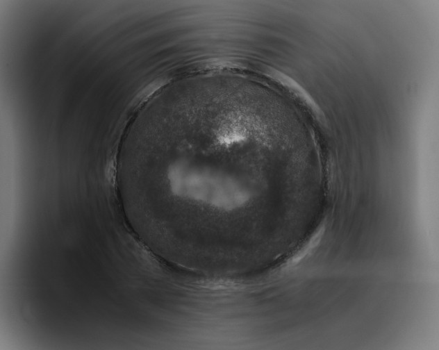 X0000096730785200802191547