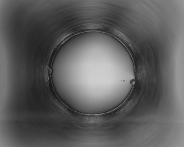 X0000096730786200802191547