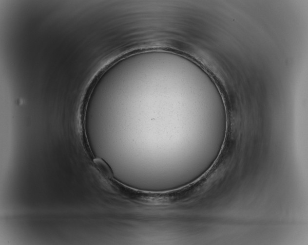 X0000096730789200802191547