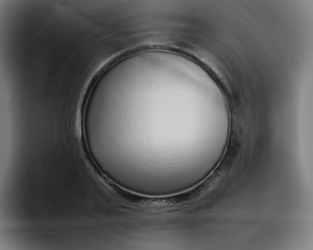 X0000096730791200802191547