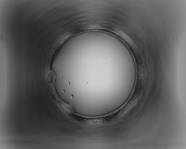 X0000096730793200802191547