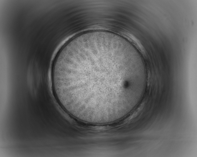 X0000096730796200802191547