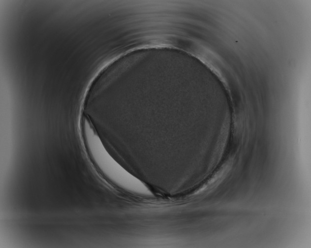 X0000096730797200802191547