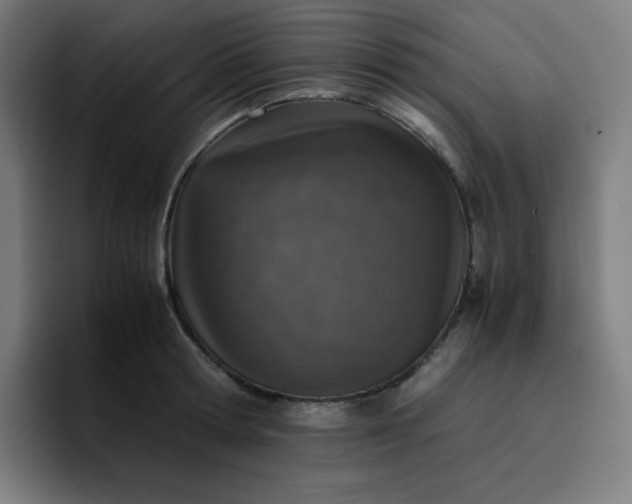 X0000096730802200802191547