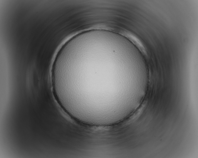 X0000096730808200802191547