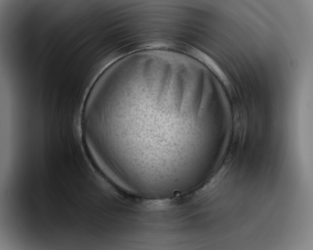 X0000096730810200802191547