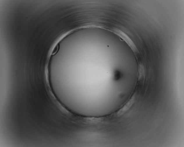 X0000096730812200802191547