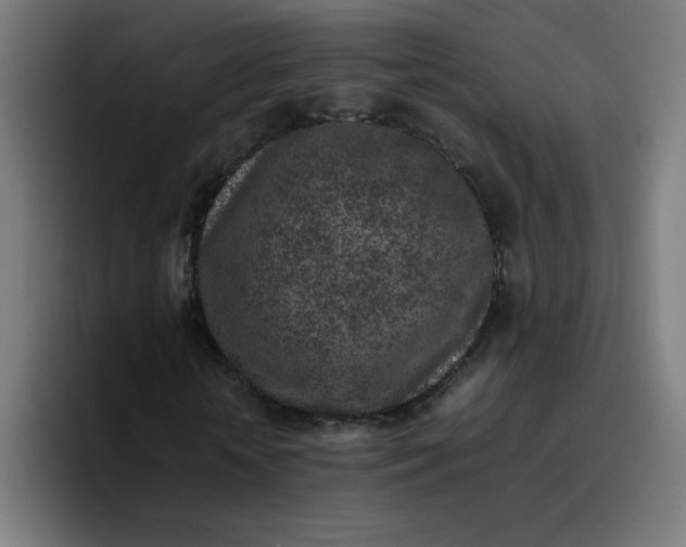 X0000096730818200802191546