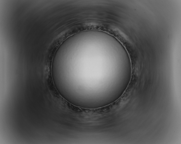 X0000096730821200802191546