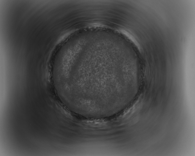 X0000096730823200802191546