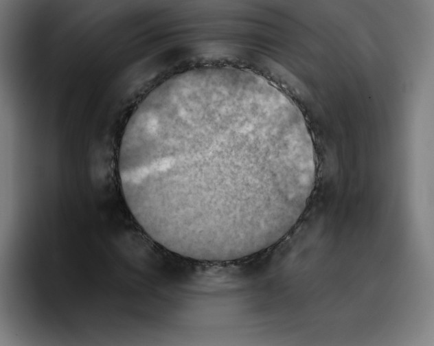 X0000096730824200802191546