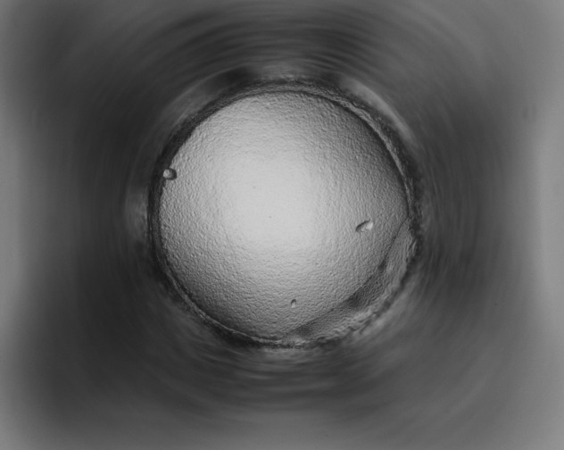 X0000096730825200802191546