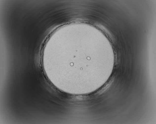 X0000096730828200802191546