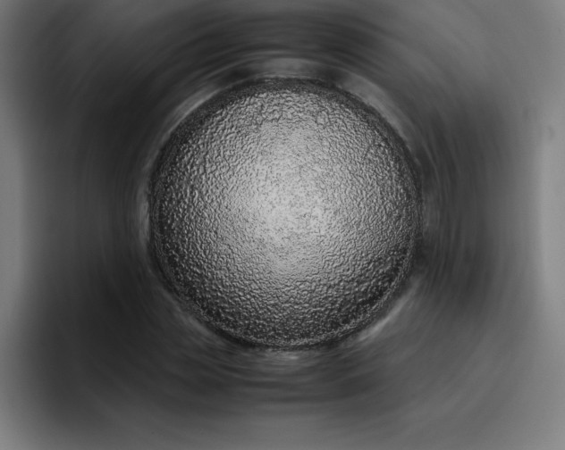 X0000096730829200802191546