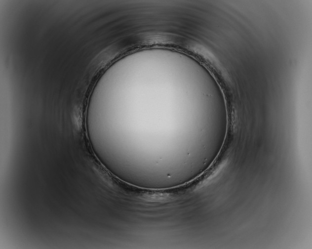 X0000096730833200802191546