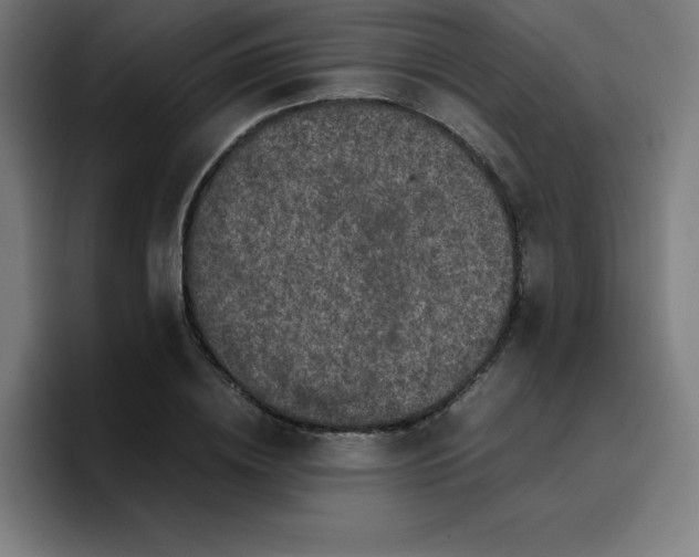 X0000096730836200802191547