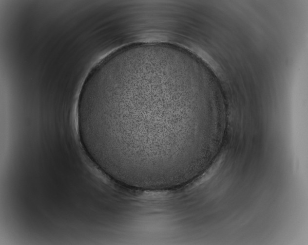 X0000096730840200802191547