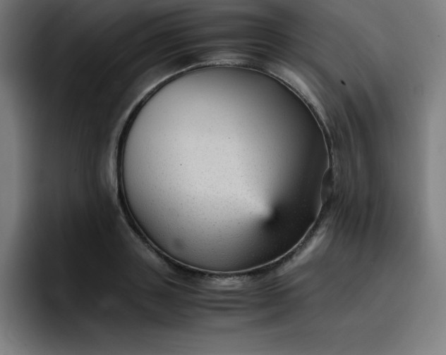 X0000096730843200802191547