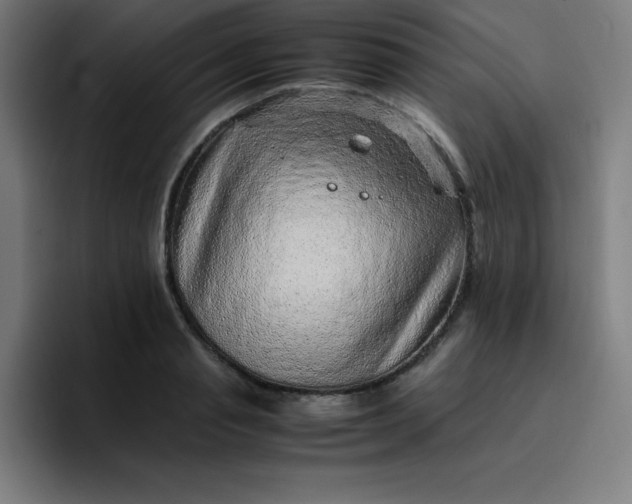 X0000096730845200802191547