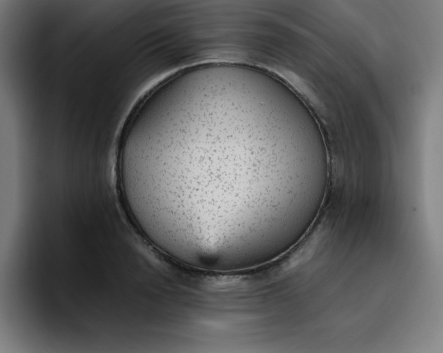 X0000096730846200802191547