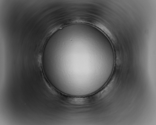 X0000096730849200802191547