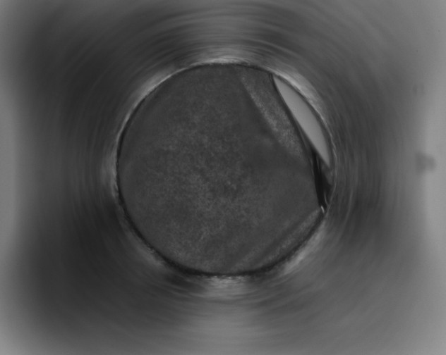 X0000096730850200802191547