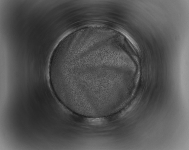 X0000096730853200802191547