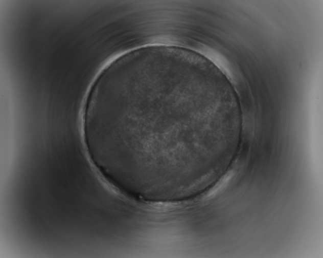 X0000096730854200802191547