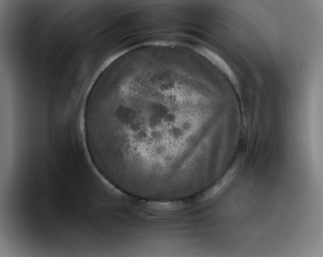 X0000096730855200802191547