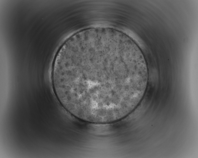 X0000096730856200802191547