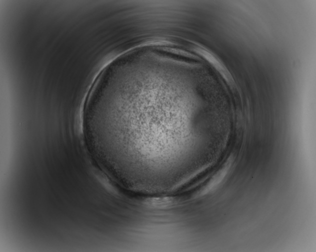 X0000096730858200802191547