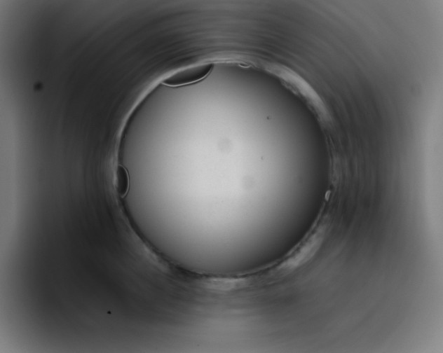 X0000096730860200802191547