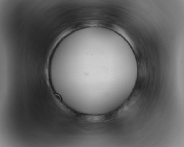 X0000096730861200802191547